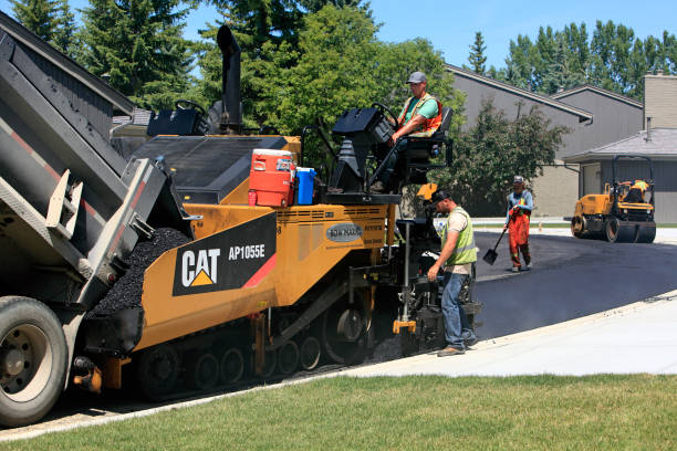 Best Custom Driveway Pavers  in Hays, MT
